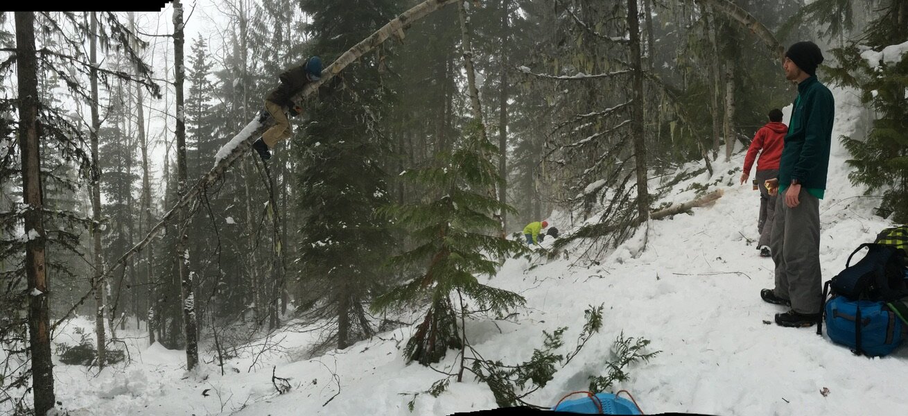 A panorama of the finished feature - a snowboarder riding the tree arc while the crew watches